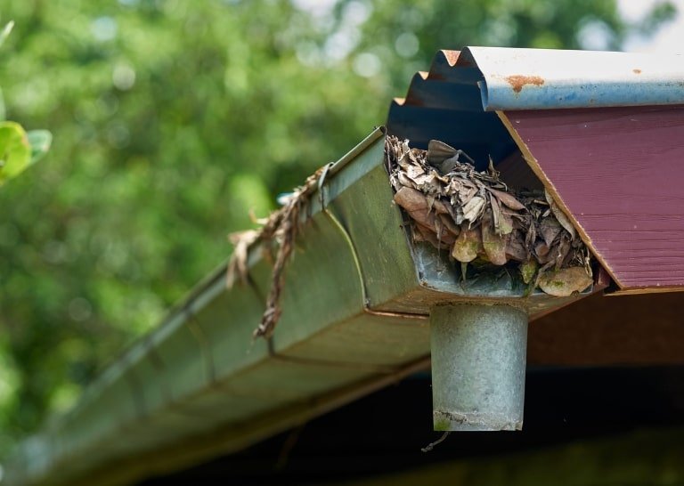eavestrough maintenance Gutters clogged with leaves in the fall