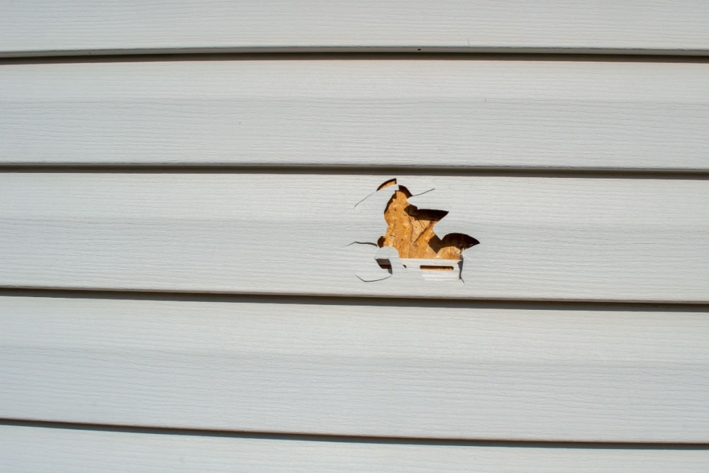 Vinyl Siding Repair Assessing the Damage