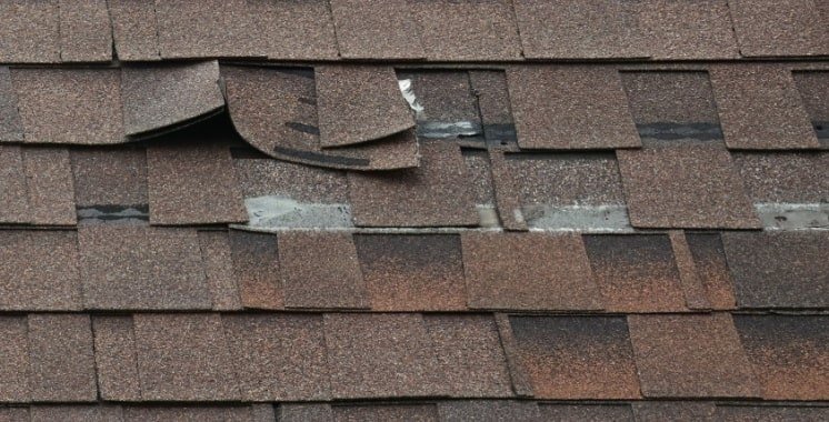 roof blister